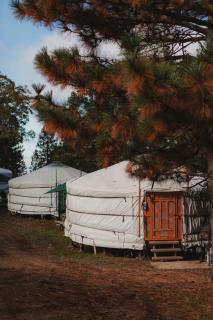 Cosy yurt at a nature retreat - Miramonte - 9
