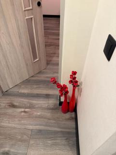 Apartament for Guest - 8
