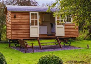 Shepherds Hut at Snowdon Farm - 4