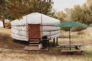 Glamping yurt at nature retreat in Sequoia NForest - Miramonte - 8