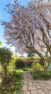 Relax in Comfort, Renovated 3 Bed Nuthall Retreat - Nottingham - 3