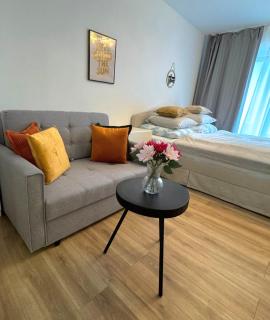 Perfect Apartment - quiet Area near City Center - Full Equipment - Public Transport - 0