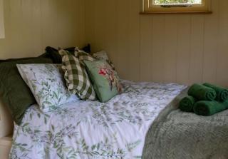 Shepherds Hut at Snowdon Farm - 7
