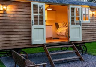 Shepherds Hut at Snowdon Farm - 3
