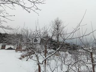 Hongshanqiang Homestay - 2