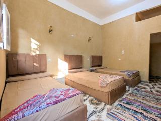 كامب سيوة اواسيس Siwa Oasis Camp - 8