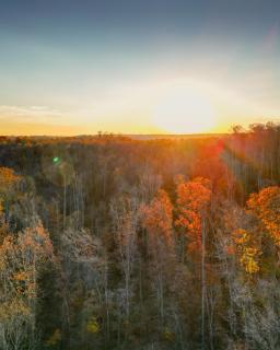 The Mirage Escape - 1