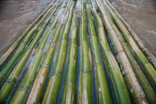 Kongfang Wilderness Retreat - Ban Yang Nong Bua - 1