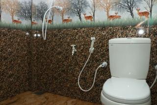 Queen Palace Medaketiya - 5