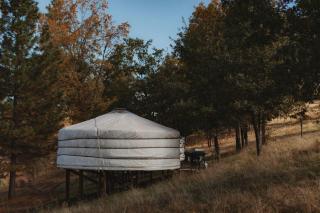 Cosy yurt at a nature retreat in CA - Miramonte - 9