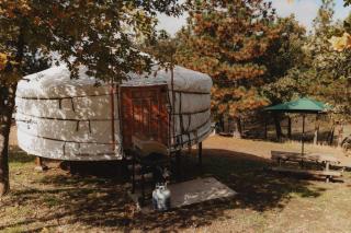 Cosy yurt at a nature retreat in CA - Miramonte - 6
