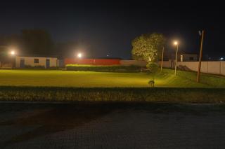 Hotel Padharo Sa Resort , Vrindavan - Lavish & Luxury rooms with parking near prem mandir - 4