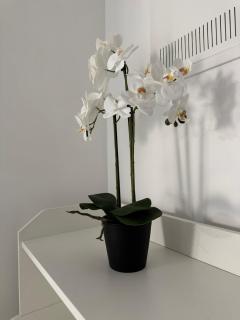 Nest Inn Marble Apartment - 2