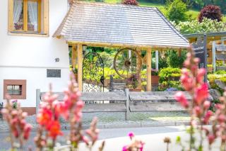 Schwarzwaldhaus Simmelehof - 2