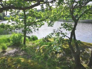 Fresh cottage with lake view and rowing boat SE09156 - 7