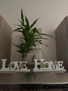 Bala Dream House - 9