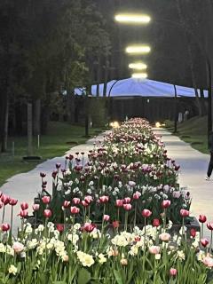 Kasia apartaments - 1