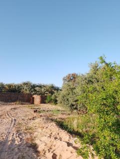 Golden shali house جولدن شالي هاوس - 6