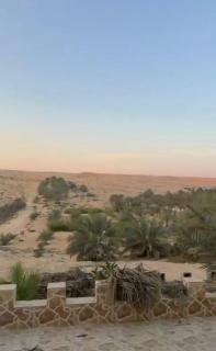 شاليهات ليوا - 1