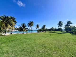 Appartement paradisiaque les pieds dans l'eau - 0
