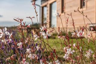 Pod Žítkovským vrchem - 1