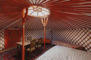 Glamping yurt at a nature retreat Sequoia Highland - Miramonte - 9