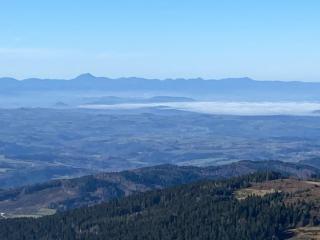 Les Chambres de la Closerie - 2