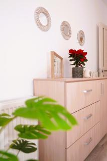 Skyline Sunset Apartment Iulius Mall Palas - 7