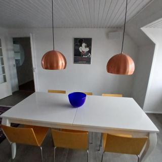 Eksklusiv stort boende i Fredrikshavn - 1