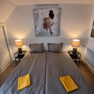 Eksklusiv stort boende i Fredrikshavn - 0