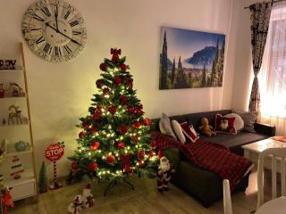 Cozy Vibes Sibiu Center - 0