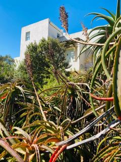 Cape Holly Beach House - 5