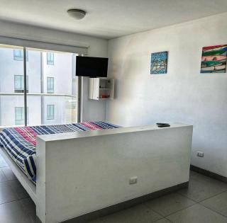 Paracas Exclusivo Departamento familiar - 8