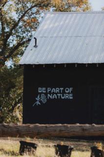 Spacious 4-bedroom cabin on secluded private land - Miramonte - 7