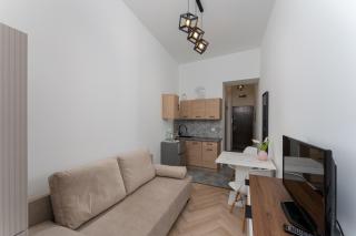 Aleja 29 Listopada Cozy Studio by BookingHost - 9