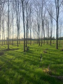 Artists and Writers Farm Space - 9