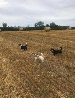 Artists and Writers Farm Space - 7