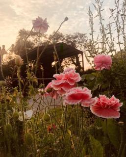 Artists and Writers Farm Space - 2