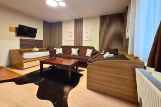 Spa & Pool Apartments Prestige VILLA IVICA - 9