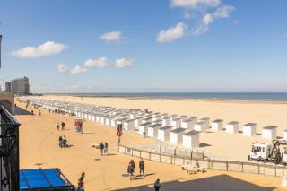 Dolphin Paradise 157 - 0