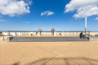 Dolphin Paradise 157 - 7