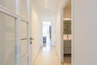 Dolphin Paradise 157 - 2