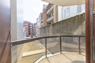 Dolphin Paradise 157 - 1