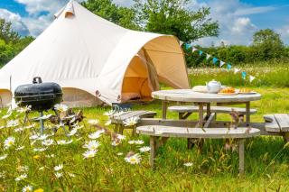 Red Clover at Blancas Bell Tents - 0