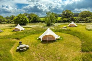 Red Clover at Blancas Bell Tents - 6