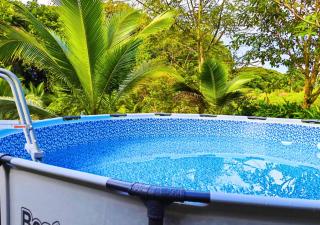 Peace of the forest - 8