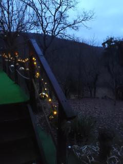 UNDER THE GREEN ROOF - 9