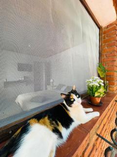 Single room at Iguazu Falls - 4