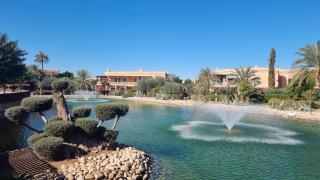 Chic Palm Grove Apartment Pool View - 1