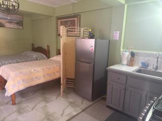 BoyceGuest apartment #1 - 4